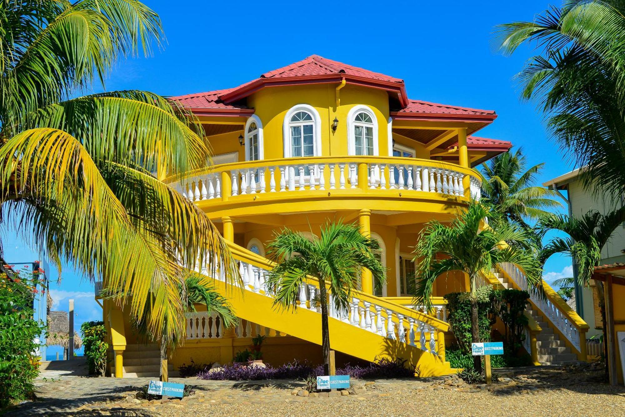 Blue Parrot Beach House And Villas Hopkins Exterior photo